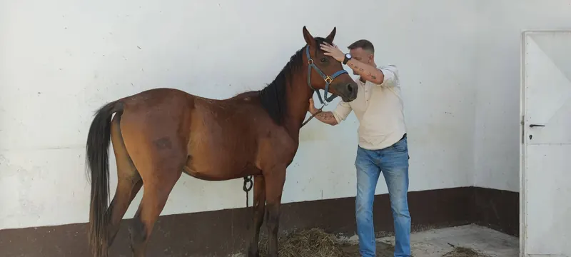 Miran s konjem v hlevu